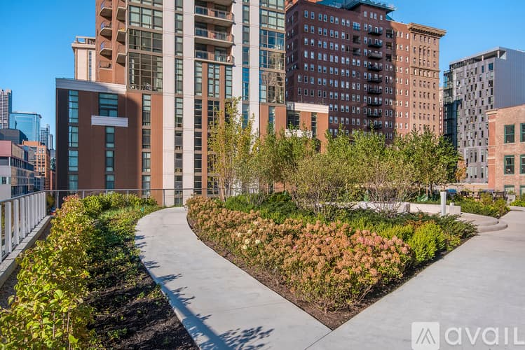Chicago Apartment: 1003 S State St