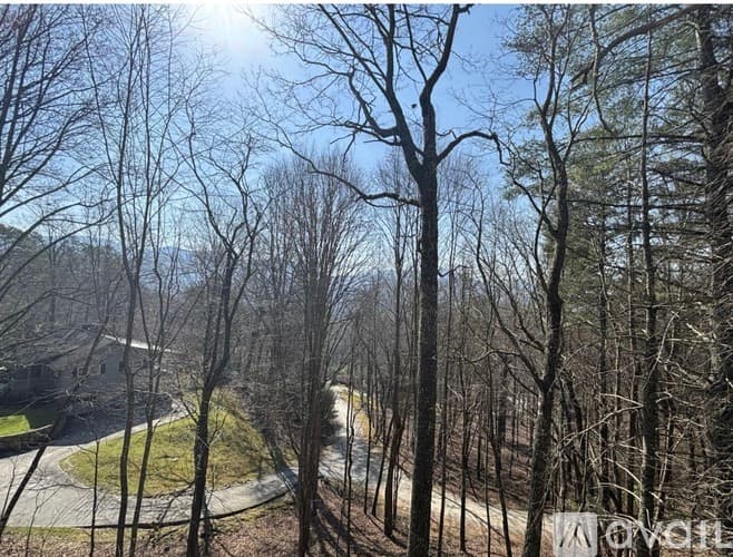 Dillard House: 490 Chalet Village Dr