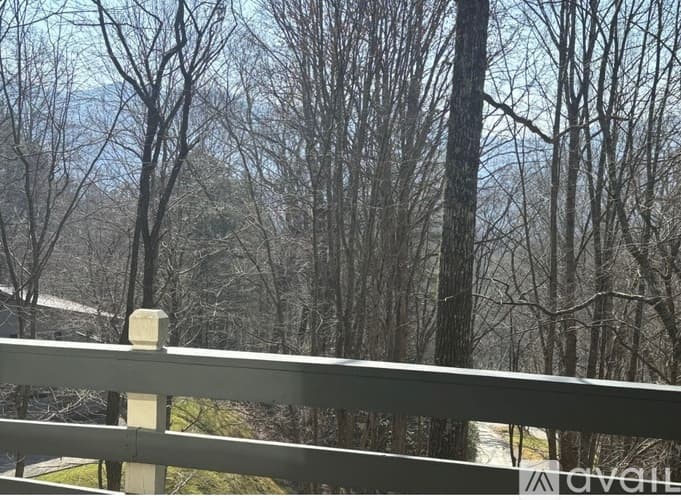 Dillard House: 490 Chalet Village Dr