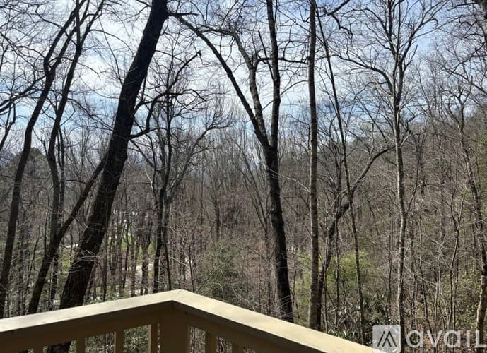 Dillard House: 339 Chalet Village Dr