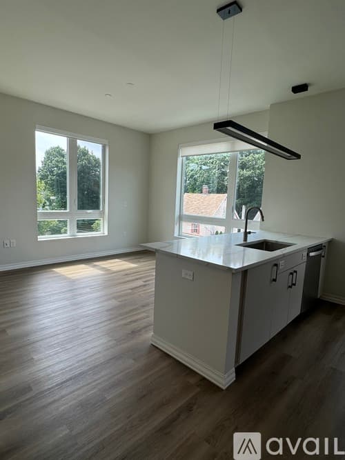 Brookline Apartment: 5 Washington St