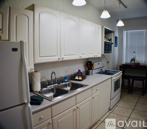 Tampa Apartment: 407 South Melville Avenue