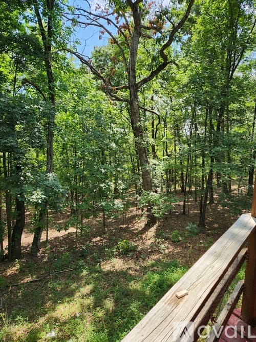 Mount Jackson Apartment: 8148 Supinlick Ridge Rd