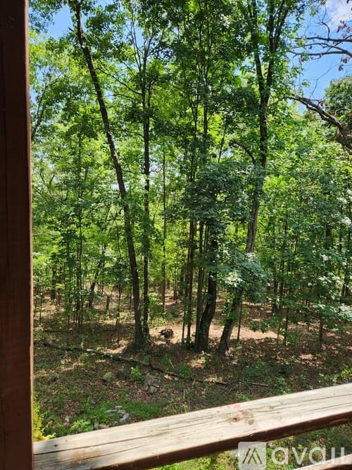 Mount Jackson Apartment: 8148 Supinlick Ridge Rd