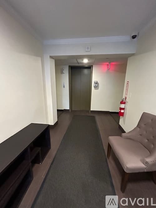 Brookline Apartment: 230 Babcock St