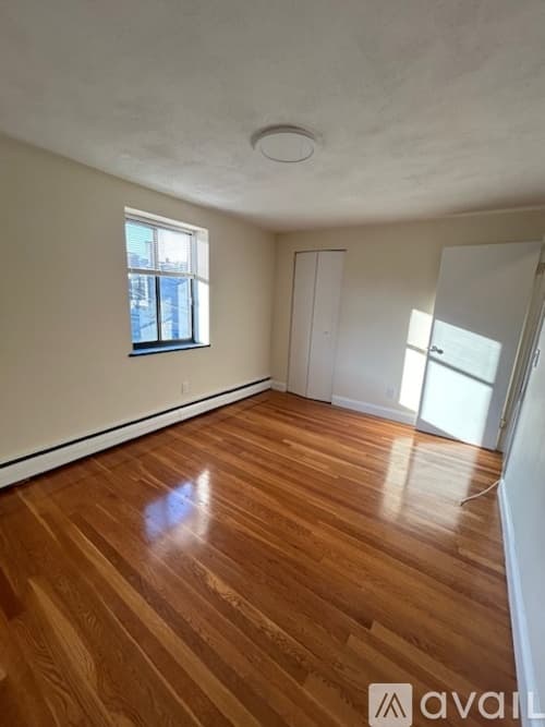 Brookline Apartment: 230 Babcock St