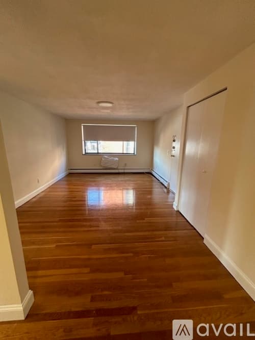 Brookline Apartment: 230 Babcock St