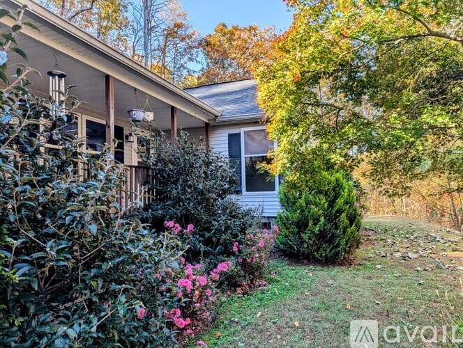 Rabun Gap House: 25 Silver Maple Ln
