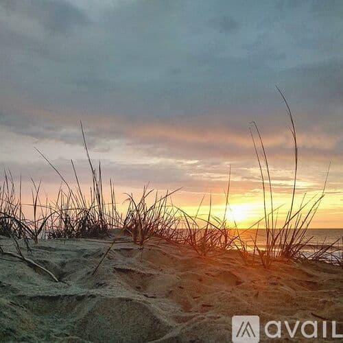 Ocean City Condo: 10300 Coastal Highway