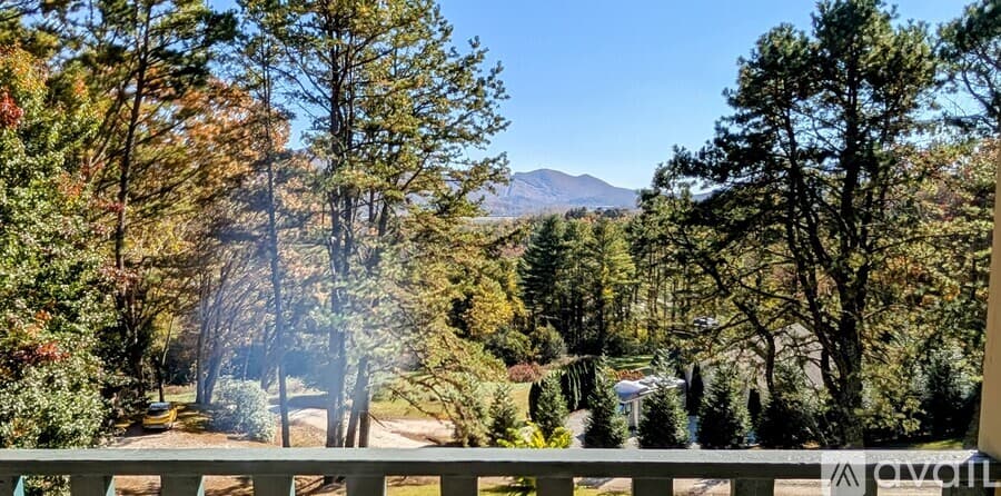 Dillard House: 729 Chalet Village Dr