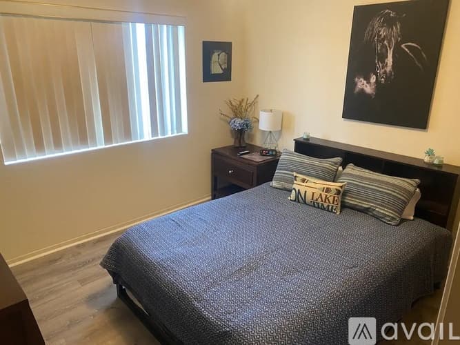 Lake Havasu City House: 1815 Palo Verde Blvd S