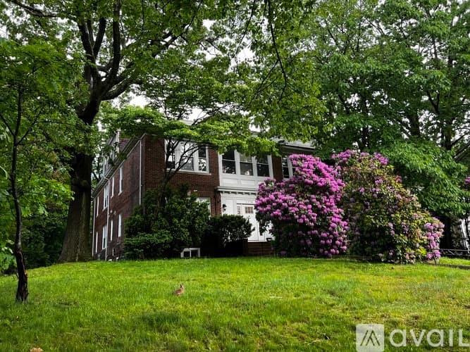 Boston Apartment: 1778 Commonwealth Ave