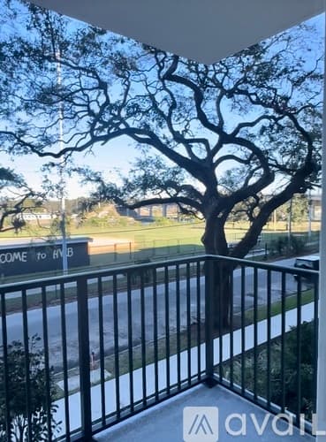 Tampa Apartment: 930 W Spruce St