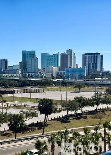 Tampa Apartment: 930 W Spruce St