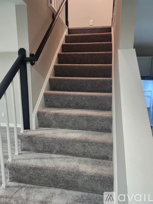 Baltimore House: 919 Dalton Avenue