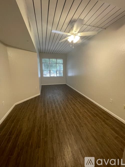 Tampa Apartment: 2411 W Horatio St