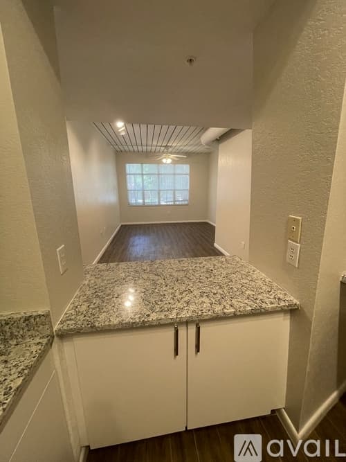 Tampa Apartment: 2411 W Horatio St