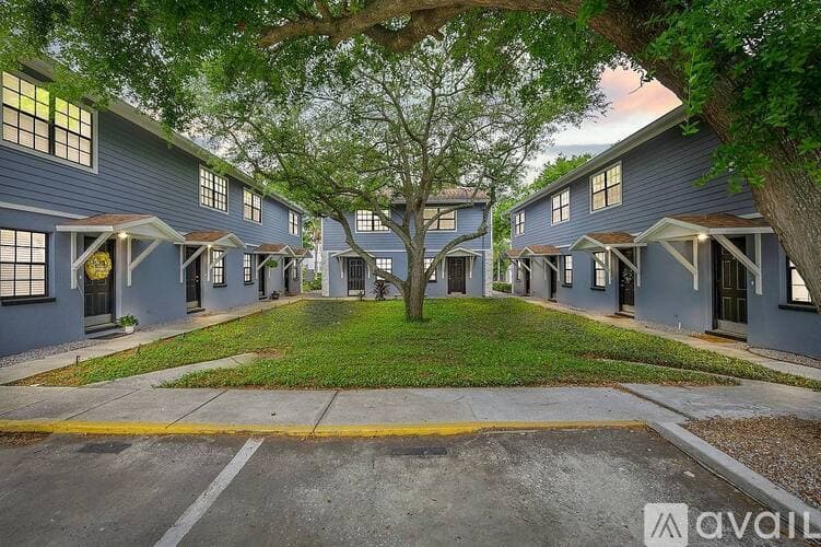 Tampa Apartment: 504 S Albany Ave