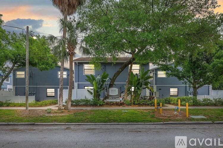 Tampa Apartment: 504 S Albany Ave
