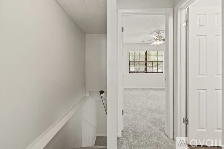 Tampa Apartment: 504 S Albany Ave