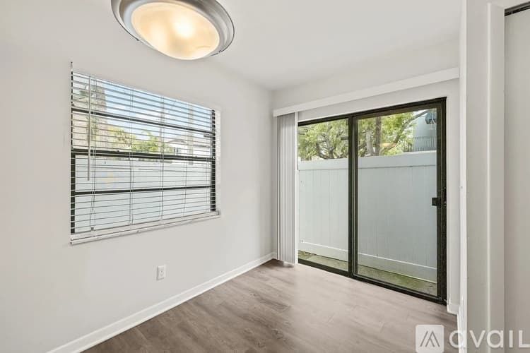 Tampa Apartment: 504 S Albany Ave