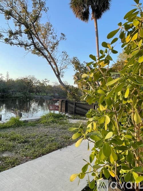 Tampa House: 411 West Flora Street