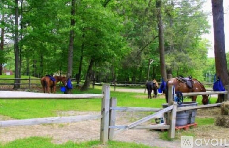 Bushkill House: 135 Mallard Path