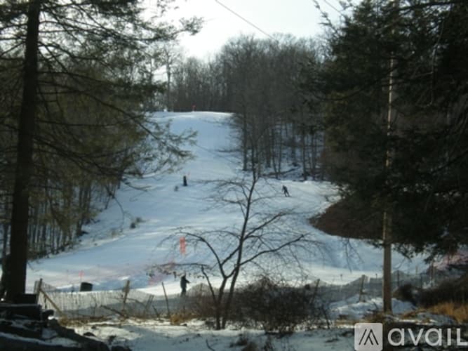 Bushkill House: 135 Mallard Path