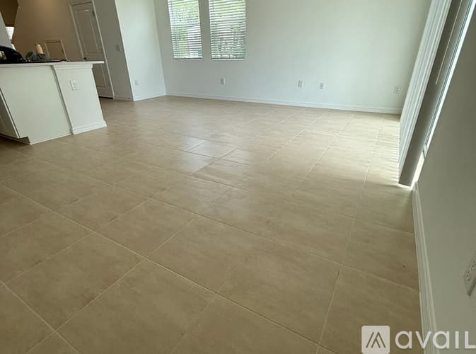 Wesley Chapel Townhome: 2082 Hallier Cv