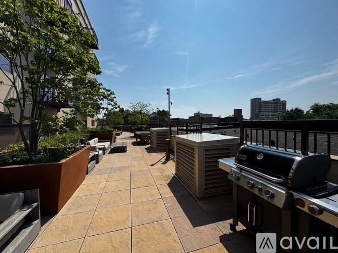 Chicago Apartment: 1323 W Morse Ave