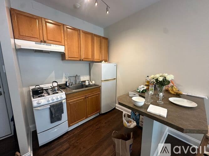 Chicago Apartment: 1344 W Lunt Ave