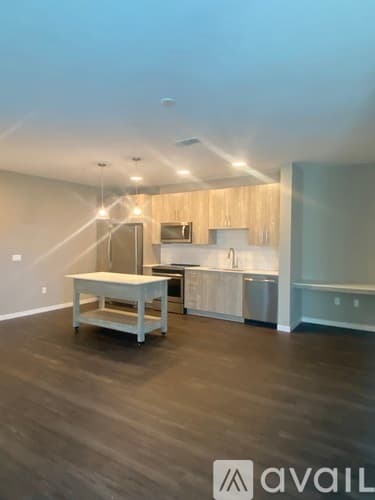 Tampa Apartment: 158 W Tyler St