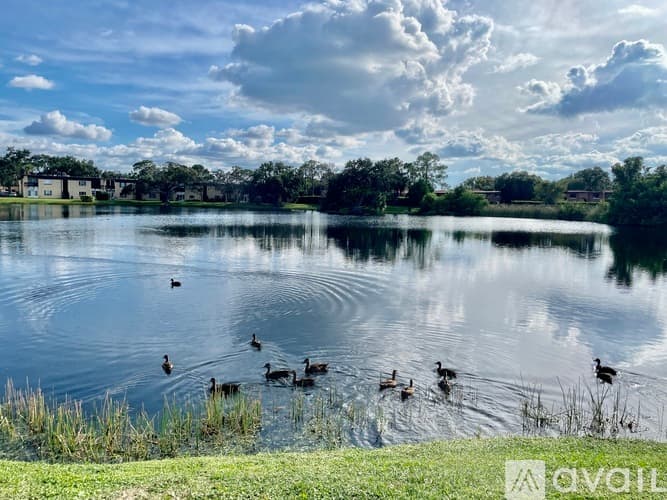 Clearwater Apartment: 811 N Keene Rd
