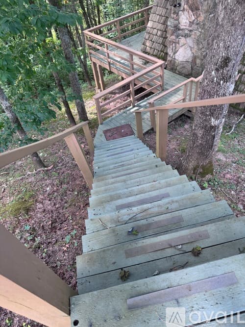 Dillard House: 53 Bold Springs Ln
