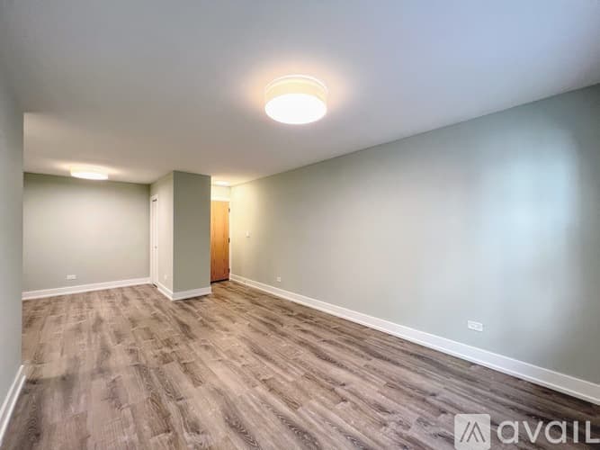 Chicago Apartment: 445 W Barry Ave