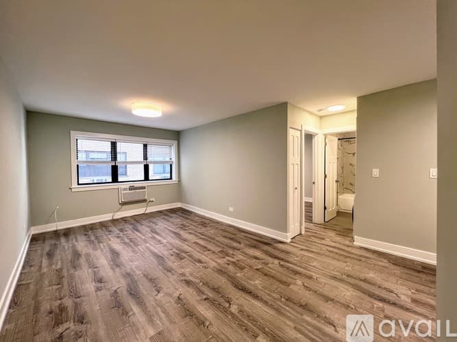 Chicago Apartment: 445 W Barry Ave