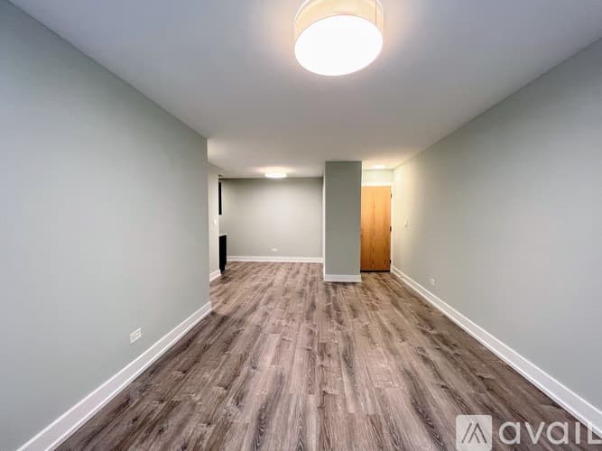 Chicago Apartment: 445 W Barry Ave