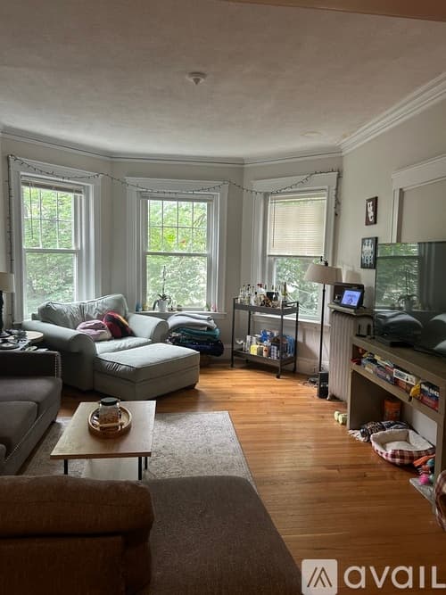 Brookline Apartment: 164 Thorndike St