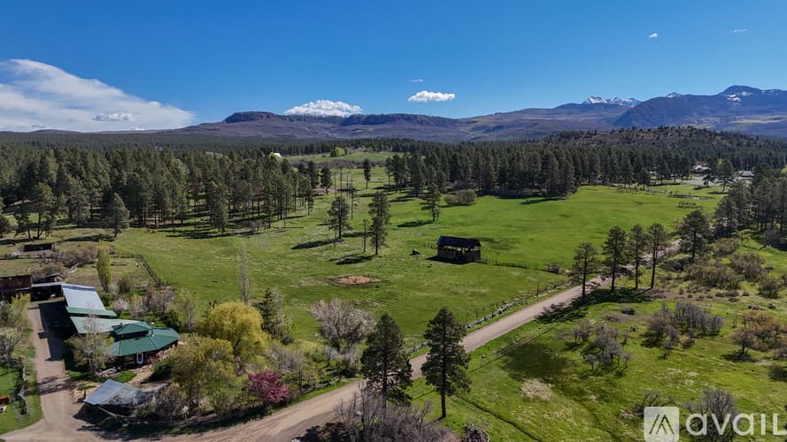 Mancos House: 43393 County Road M