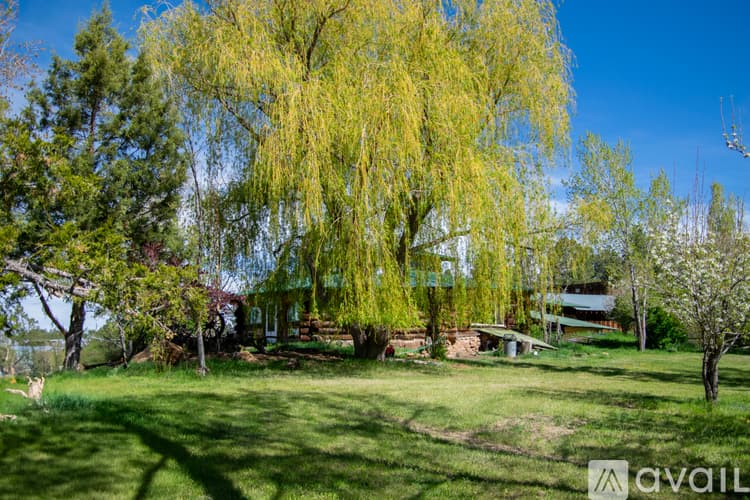 Mancos House: 43393 County Road M