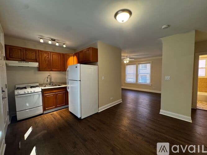 Chicago Apartment: 1381 W Greenleaf Ave