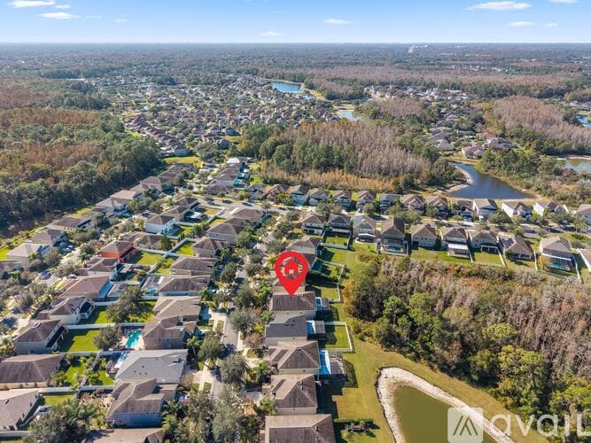 Tampa House: 20414 Carolina Cherry Court