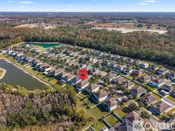 Tampa House: 20414 Carolina Cherry Court