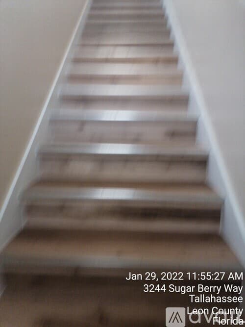 Tallahassee Apartment: 3244 Sugar Berry Way