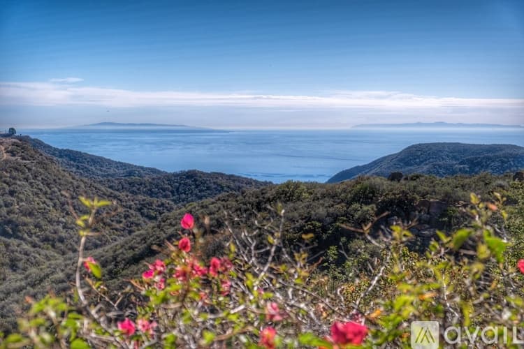 Topanga Apartment: 2535 Hawks Nest Trail