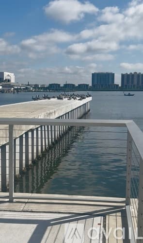 Tampa Apartment: 5430 W Tyson Ave