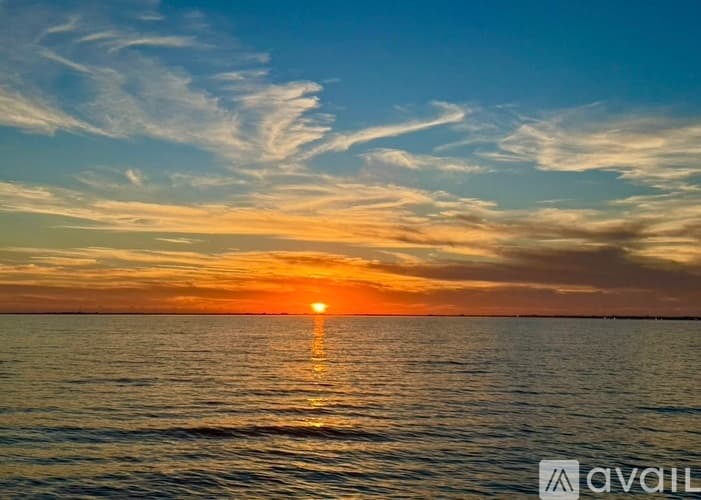 Tampa Apartment: 5430 W Tyson Ave