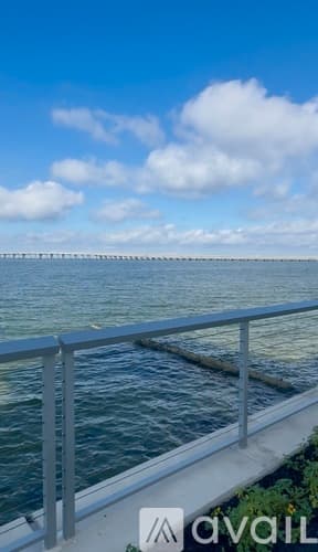 Tampa Apartment: 5430 W Tyson Ave