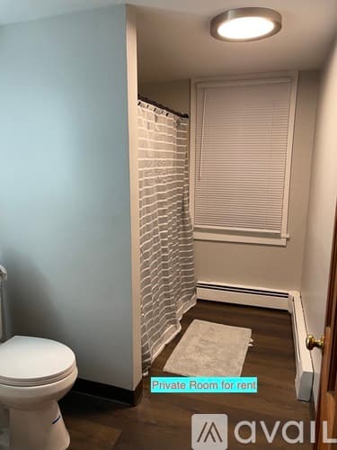 New Britain Apartment: 237 Rocky Hill Avenue