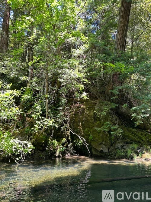 Branscomb House: Wilderness Lodge Road